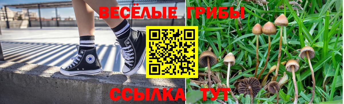 Галлюциногенные грибы прущие грибы  Галлюциногенные грибы мицелий  Вход с VPN  Семёнов 